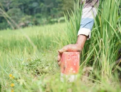 Mudik ke Kampung Halaman? Jaga Batas Tanah sebagai Langkah Awal Cegah Konflik Antartetangga