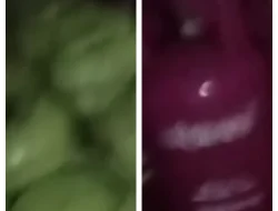 Praktik Oplos Gas Bersubsidi Terbongkar di Rancabungur–Kemang, Pelaku Terancam 6 Tahun Penjara