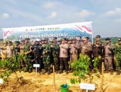 Reforestasi Tahap I TNTN Dimulai, Danrem 031/WB Tegaskan Dukungan TNI untuk Pemulihan Ekosistem