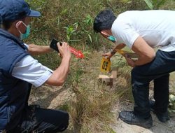 Polsek Singingi Hilir Tangani Penemuan Kerangka Manusia di Areal PT RAPP