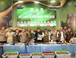 Aktivis Satwa Puji Kecepatan Polda Riau Tangkap Pemburu Gajah