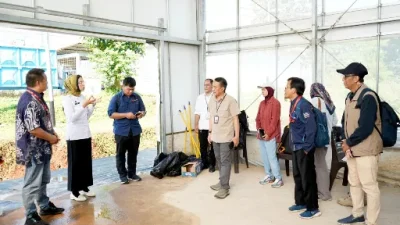 Teknologi Smart Greenhouse BRIN Dorong Ketahanan Pangan Untuk Sukseskan Program MBG