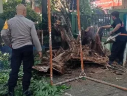 Polda Metro Jaya Benarkan Terima Laporan Dugaan TPKS di Lingkungan Kampus