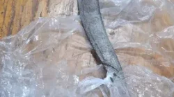 Unit Lantas Cengkareng Tangkap terduga pelaku Curas Bersenjata Tajam di Ring Road Rawa Buaya, Satu terduga pelaku Diamankan