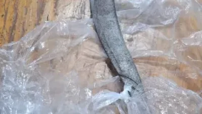 Unit Lantas Cengkareng Tangkap terduga pelaku Curas Bersenjata Tajam di Ring Road Rawa Buaya, Satu terduga pelaku Diamankan