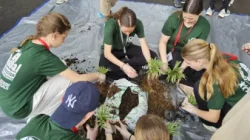 Inisiatif DeTara Foundation Ubah Sekolah Jadi Laboratorium Aksi Iklim