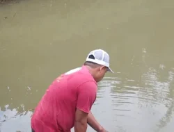 Aksi Nyata FPII Setwil Sulsel di Maiwa Enrekang, Manfaatkan Lahan Ptoduktif Melalui Budidaya Ikan