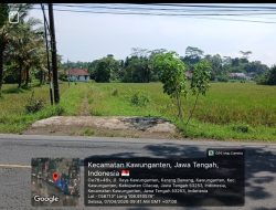 Jalan di Sebelah Kantor Kecamatan Kawunganten Terbengkalai, Warga Protes