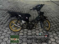 Polsek Kerumutan Amankan Pencuri Sawit di Tanjung Air Hitam