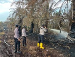 Kolaborasi Polda Riau Berhasil Jinakkan Karhutla di Lahan Gambut Pelalawan