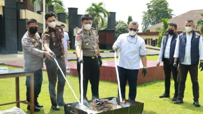 Berantas Narkoba, Wakapolres Kuansing Pimpin Pemusnahan 17,7 Kg Ganja