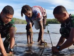 Bersatu Dengan Alam, Satgas TMMD Kodim 1710/Mimika Tanam Ribuan Bibit Mangrove