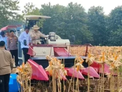 Panen Raya di Tuban, Presiden Prabowo Apresiasi Peran Polri Wujudkan Ketahanan Pangan Nasional
