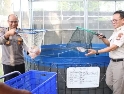 Polda Metro Jaya dan Polres Jakbar Panen 219 Kg Ikan Nila di Greenhouse Palmerah