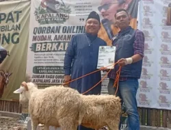 Banjir Apresiasi, Kapalang Misteri Sebar Ratusan Hewan Kurban Idul Adha 1447 H Untuk Warga Bogor