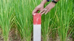 Pasang Patok, Cara Sederhana Cegah Sengketa Tanah dengan Tetangga