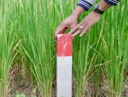 Pasang Patok, Cara Sederhana Cegah Sengketa Tanah dengan Tetangga