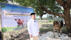 Semarak Iduladha 1447 H, Menteri Nusron Salurkan Hewan Kurban ke Pondok Pesantren Attaqwa