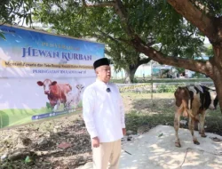 Semarak Iduladha 1447 H, Menteri Nusron Salurkan Hewan Kurban ke Pondok Pesantren Attaqwa