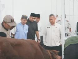 TA Menteri Imipas Tinjau Iduladha Hari Kedua di Rutan Surakarta, Pastikan Penyembelihan Kurban Berjalan Sesuai Standar