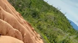KAN Nagari Ampang Pulai Tegaskan Polemik Bukit Ameh Kawasan Wisata Mandeh Sudah Lewat Mekanisme Adat