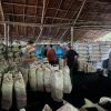 Riau Bongkar Perusakan Mangrove di Meranti, 3 Tersangka dan 100 Ton Arang Disita