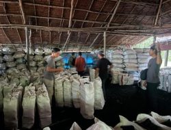 Riau Bongkar Perusakan Mangrove di Meranti, 3 Tersangka dan 100 Ton Arang Disita