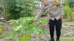 Bhabinkamtibmas Kelurahan Kota Tinggi Ajak Warga Manfaatkan Lahan Pekarangan Jadi Lahan Produktif