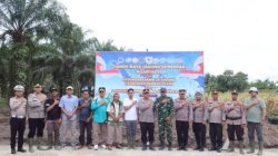 Dukung Asta Cita Presiden, Polres Rohil Panen Raya Jagung Serentak Kuartal II