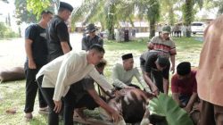 Idul Adha 1447 H, Polres Rokan Hilir Gelar Penyembelihan Hewan Qurban Sambut di Masjid Al Ikhlas