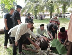 Idul Adha 1447 H, Polres Rokan Hilir Gelar Penyembelihan Hewan Qurban di Masjid Al Ikhlas