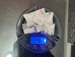 Sita Sabu 4,62 Gram, Satgas Anti Narkoba Polres Rohil Berhasil Ungkap Kasus Peredaran Narkotika di Kepenghuluan Panipahan
