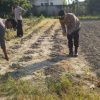 Program Polisi Cinta Petani di Kawasan Pelabuhan Pekanbaru Perkuat Ketahanan Pangan