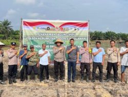 Tanam Jagung di Lahan Ketahanan Pangan Banjar Panjang, Polsek Kerumutan Dampingi Petani Wujudkan Swasembada Pangan