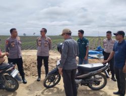 Perkuat Ketahanan Pangan, Polres Siak, Pemkab dan PT RAPP Tinjau Lahan Jagung Tumpang Sari di Sungai Mandau
