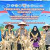Dukung Swasembada Pangan Nasional, Polres Siak Gelar Panen Raya Jagung Serentak Kuartal II