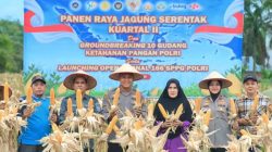 Dukung Swasembada Pangan Nasional, Polres Siak Gelar Panen Raya Jagung Serentak Kuartal II