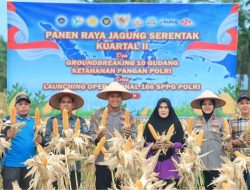 Dukung Swasembada Pangan Nasional, Polres Siak Gelar Panen Raya Jagung Serentak Kuartal II