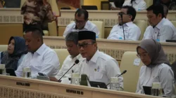Kelola Karier 6,7 Juta ASN, BKN Fokus Perkuat Digitalisasi dan Sistem Merit