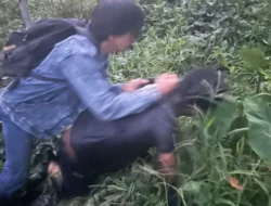 20 Kali Bobol Rumah Kosong, Residivis Curanmor di Tangerang Akhirnya Dibekuk Polisi