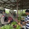 Di Balik Ramainya Pasar Keyabi Nduga, Senyum Mama Papua dan Polwan Damai Cartenz Rajut Rasa Aman dan Nyaman