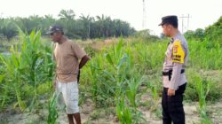 Bhabinkamtibmas KelurahanRantau Kopar Cek Ketahanan Pangan Jagung Pipil