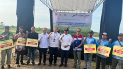 Dari Padi Biosalin Ke Minapadi Salin, PGN – BRIN – Pemkab Batang Dorong Nilai Ekonomi Lahan Pesisir Batang