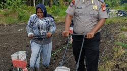 Langkah Nyata, Bhabinkamtibmas Polsek Kandis Bersama Petani Tabur Bibit Jagung di Lahan Produktif Seluas 15 H