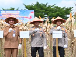 Polda Riau Terus Bergerak Dukung Swasembada Jagung, Karo SDM: Komitmen Wujudkan Ketahanan Pangan dalam Semangat Kolaborasi