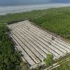 Satreskrim Polres Rohil Ungkap Kasus Perambahan Hutan Mangrove di Pasir Limau Kapas