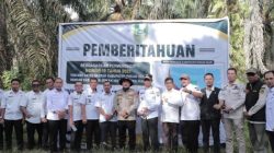 Forkopimda Rohil Tinjau Lahan Sengketa PT Torganda, Pemkab Tegaskan Komitmen Jaga Stabilitas