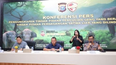 Dari Gading Gajah ke TPPU: Polda Riau Bongkar Aliran Dana Rp1,8 Miliar, 2 Tersangka Dimiskinkan