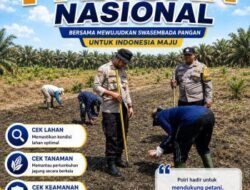 Bhabinkamtibmas Polsek Kandis Optimalkan Pengelolaan Budidaya Jagung Bersama Kelompok Tani Jambai Makmur
