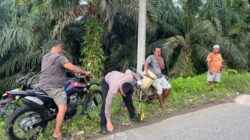 Unit Gakkum Satlantas Olah TKP Kecelakaan Beruntun, Seorang Pelajar Meninggal Dunia